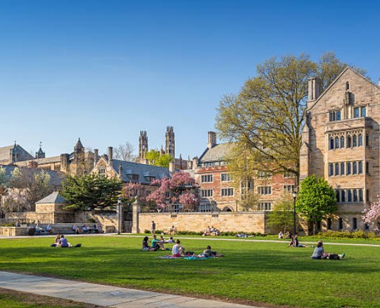 SStep-By-Step Blueprint To Selling Your School