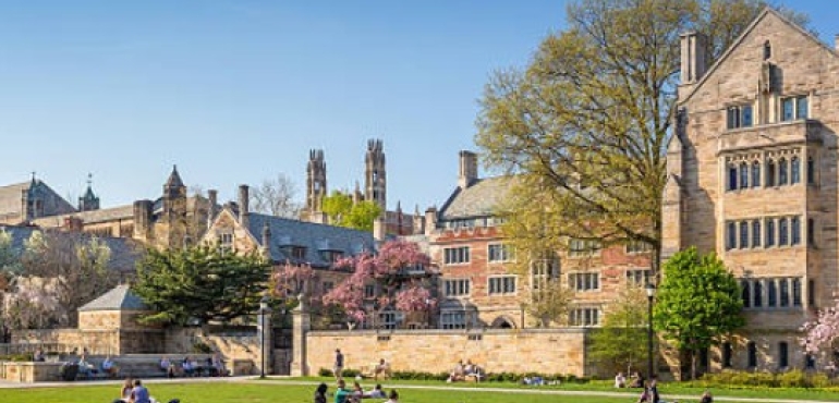 SStep-By-Step Blueprint To Selling Your School